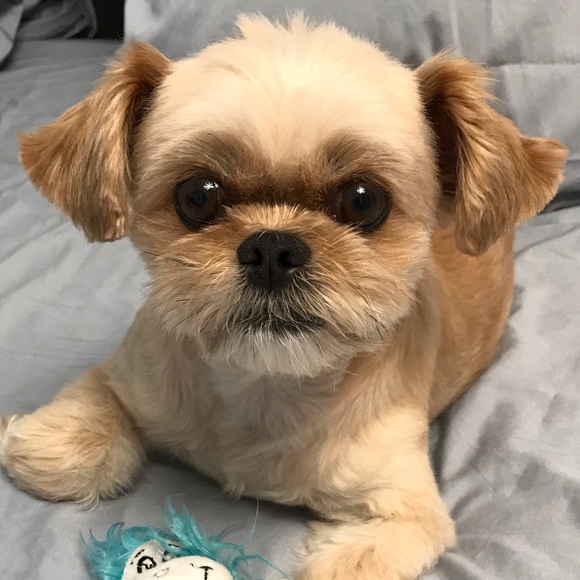 Meet the Posher Other - Meet your Posher, Vivian